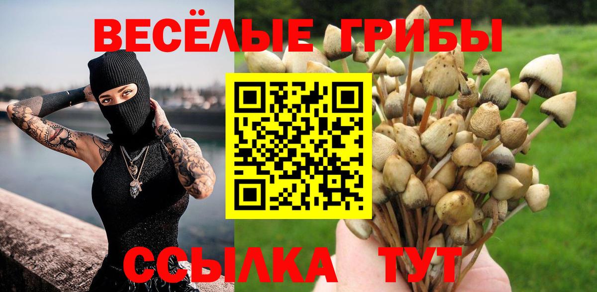 Псилоцибиновые грибы GOLDEN TEACHER Жигулёвск